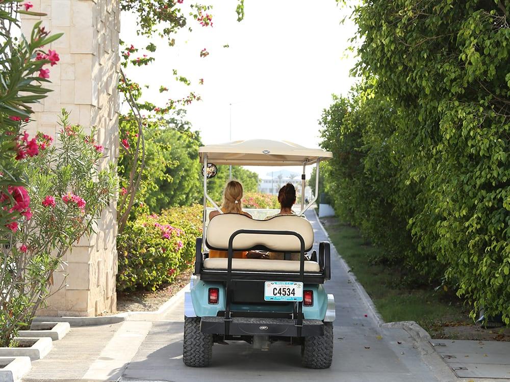 Golf-cart-cover-picture