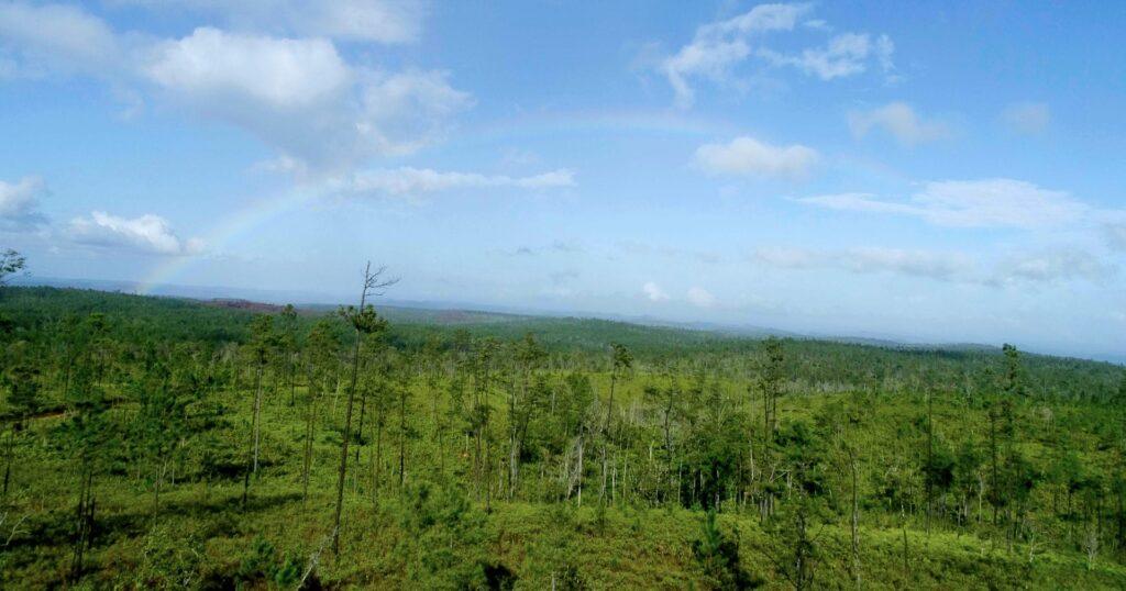 HVI-Rainbow