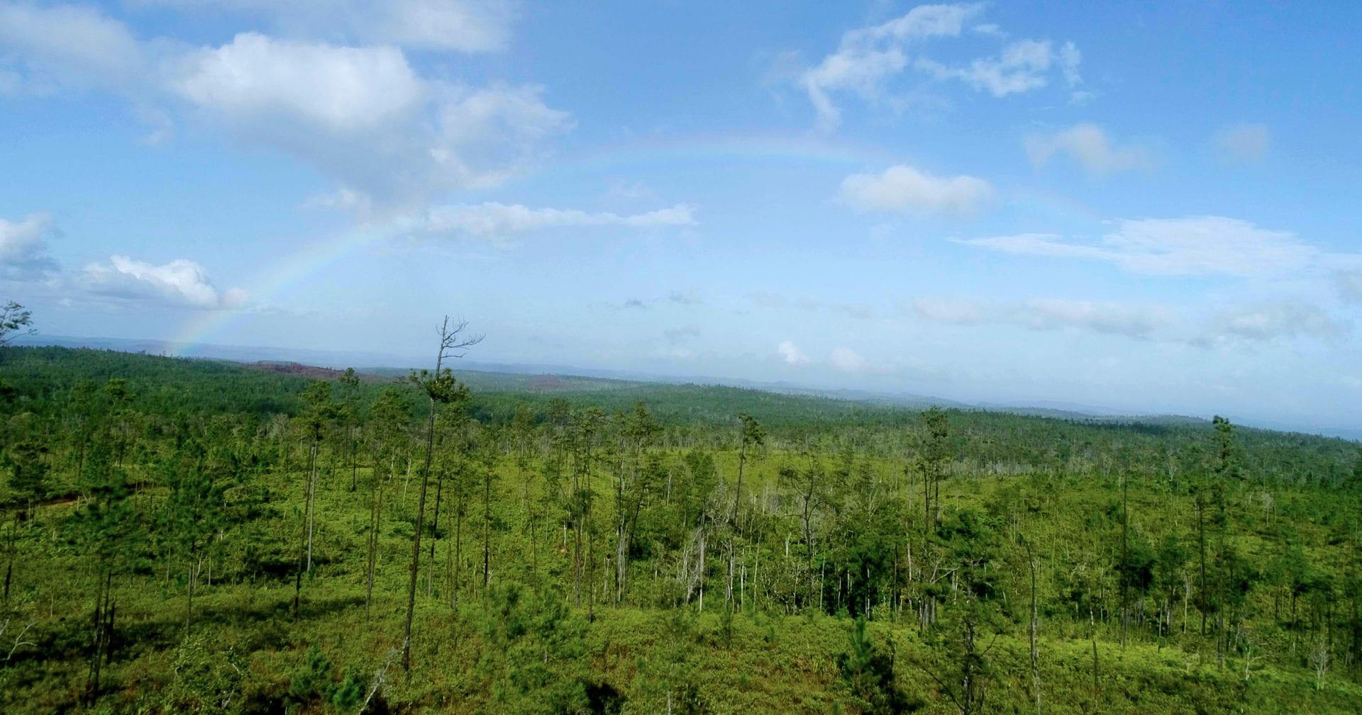 HVI-Rainbow