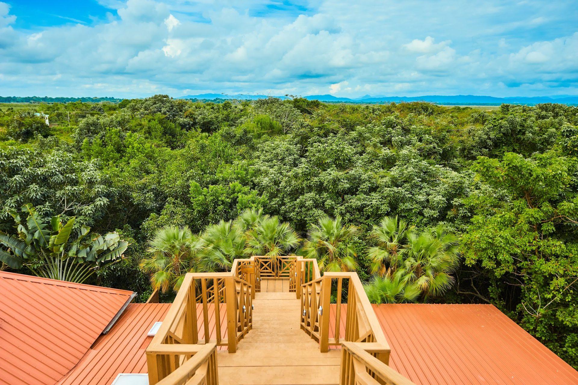 Leonardo-Melendez-Lookout-hamanasi-Mountains