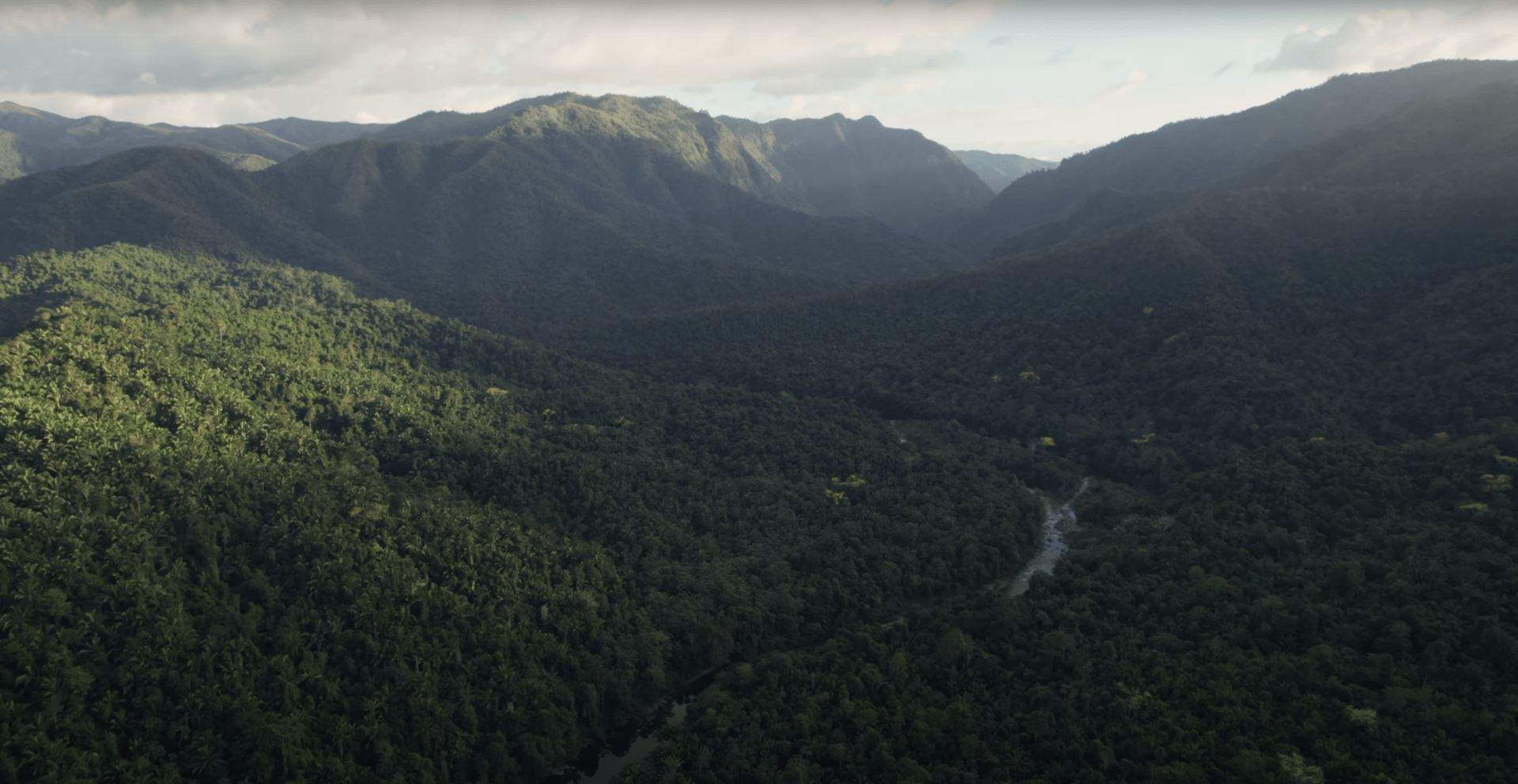 Maya-Mountains-Belize-Collection-CWC