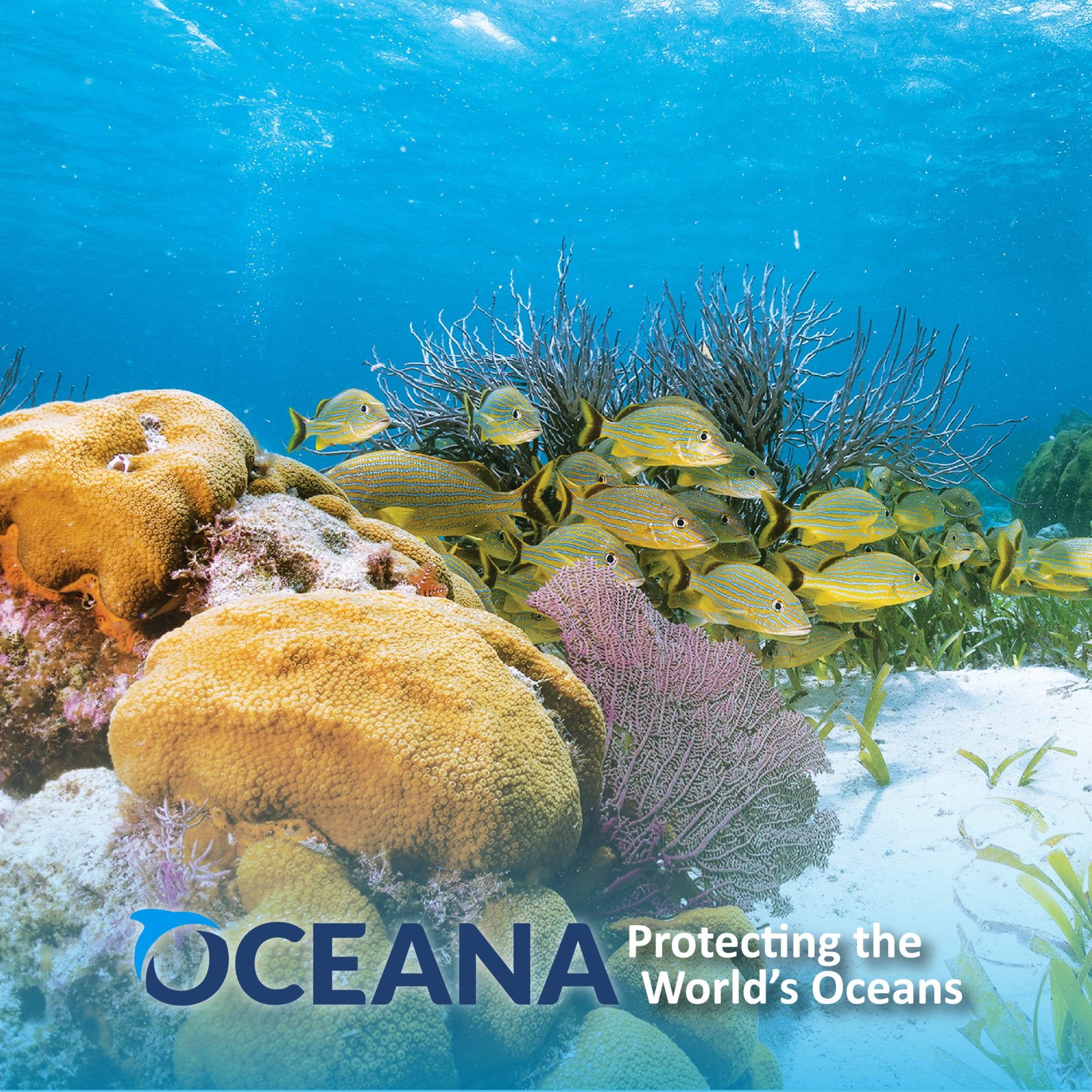 Oceana-Issue2-01