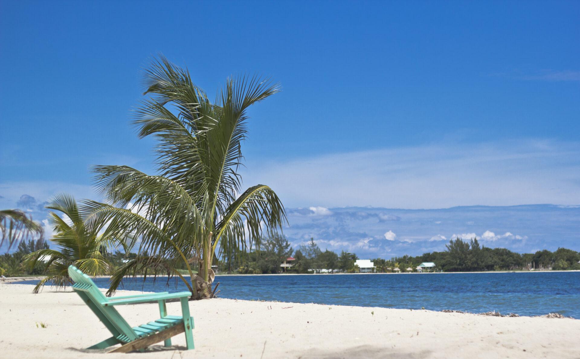 PLACENCIA-BEACH-INVESTMENTdreamstime_xxl_408772791