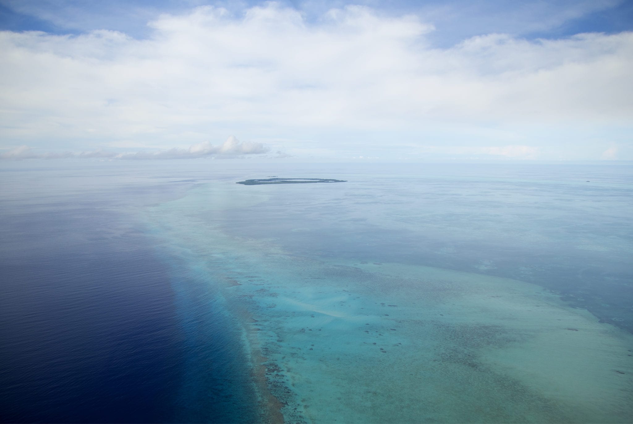 Reef
