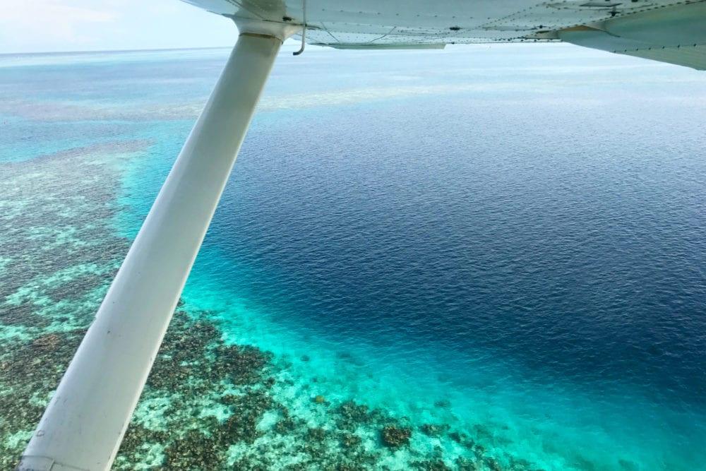 Reef2-1000x667
