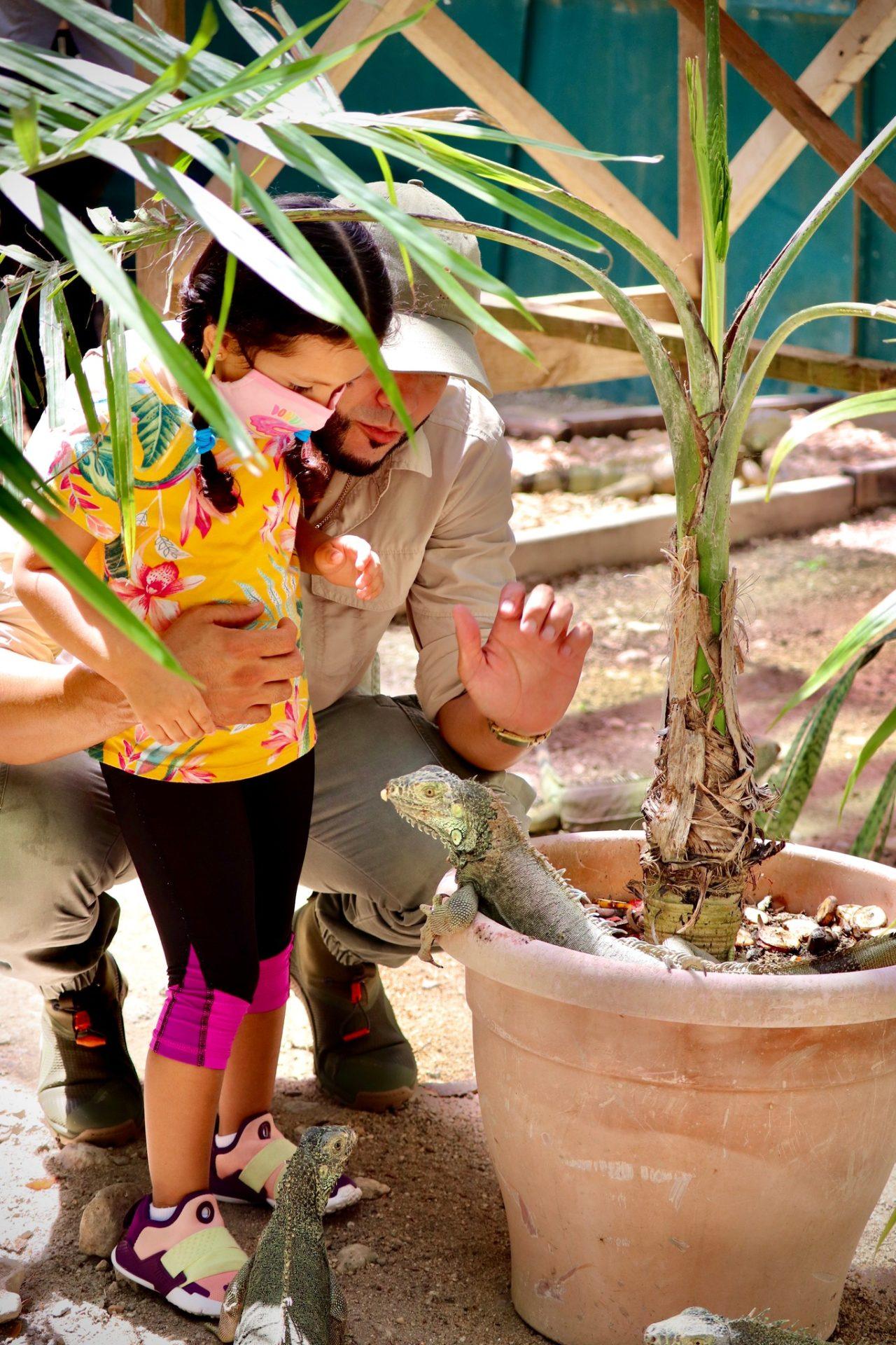 SIRH-Kid-friendly-iguana