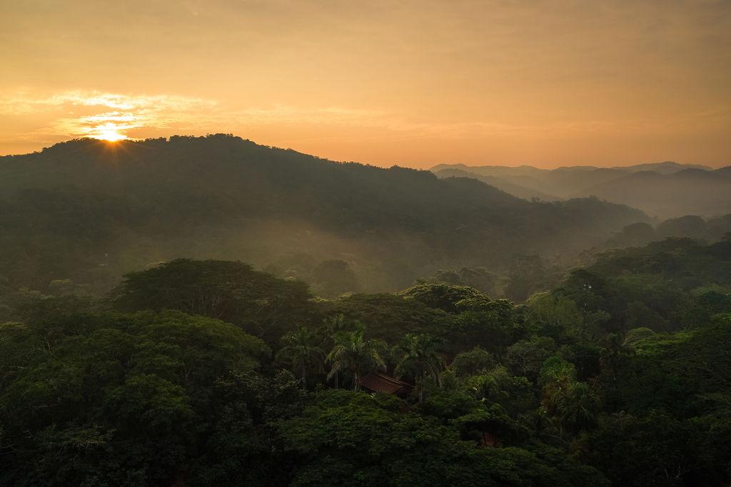 SSJL-Jungle-at-Sunset-Drone