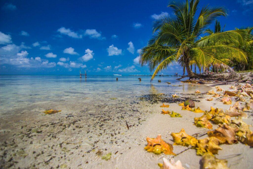 South_Water_Caye2