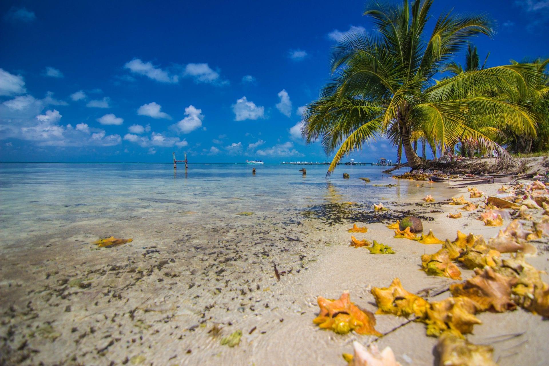 South_Water_Caye2
