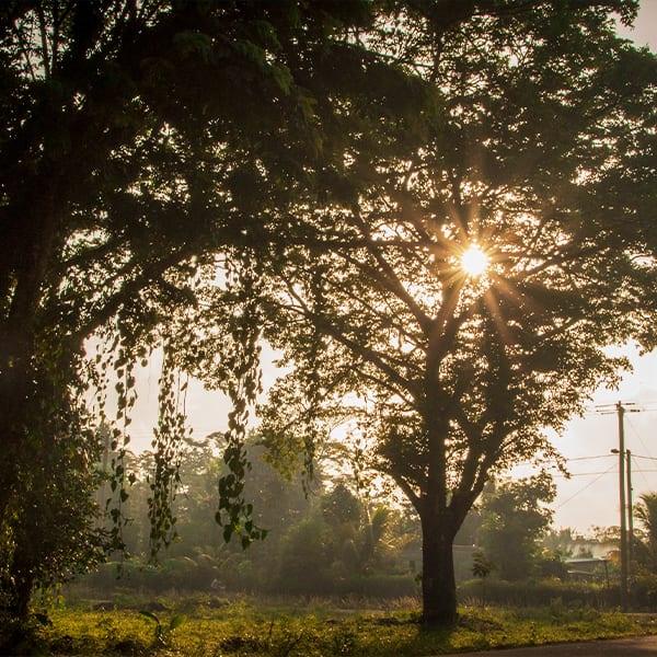 Sunset-Belmopan