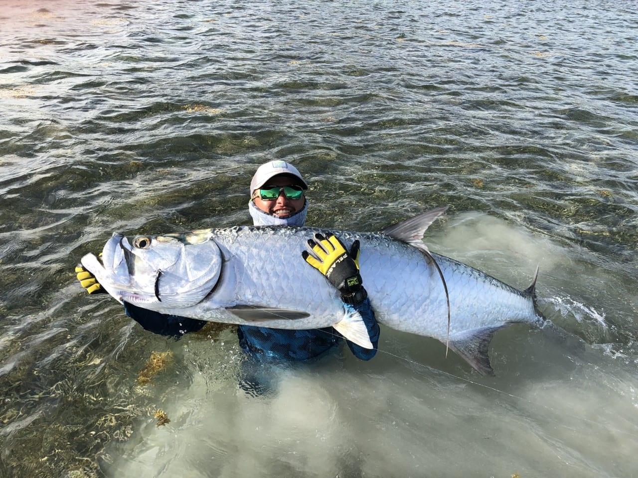 Tarpon-by-Emir-Marin