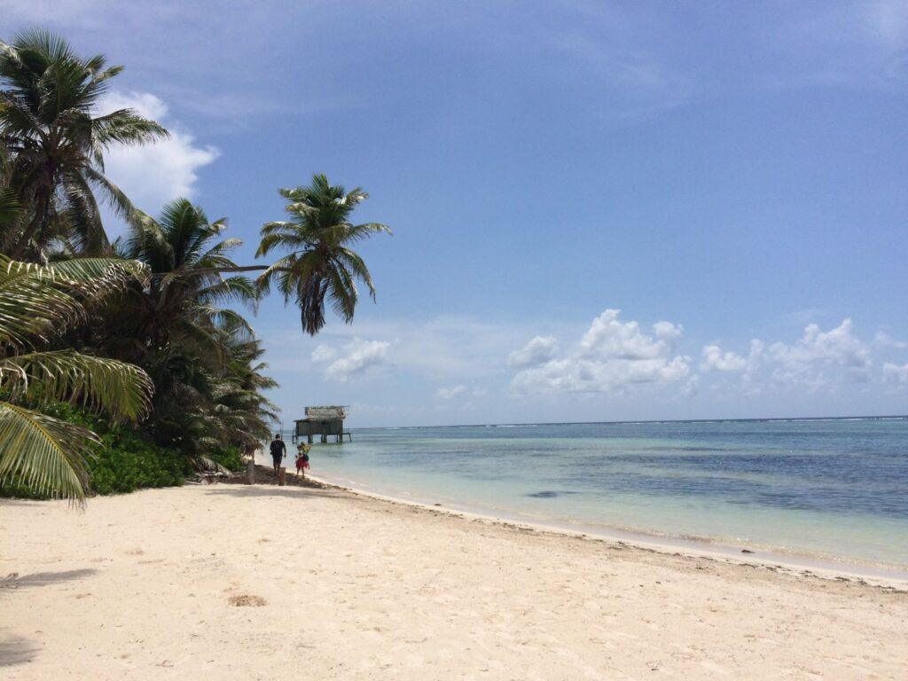 Tranquility-bay-area-dion-vansen-ambergris