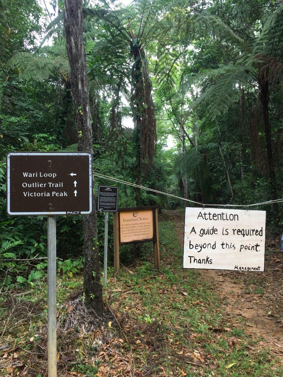 VP-Trail