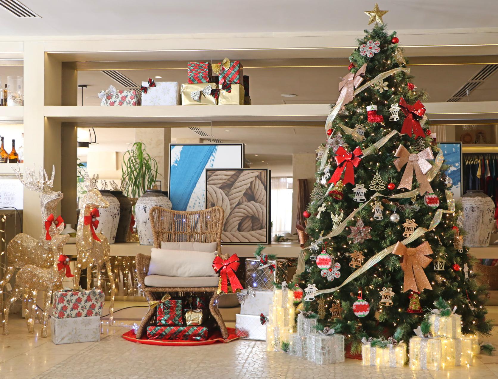alaia-belize-christmas