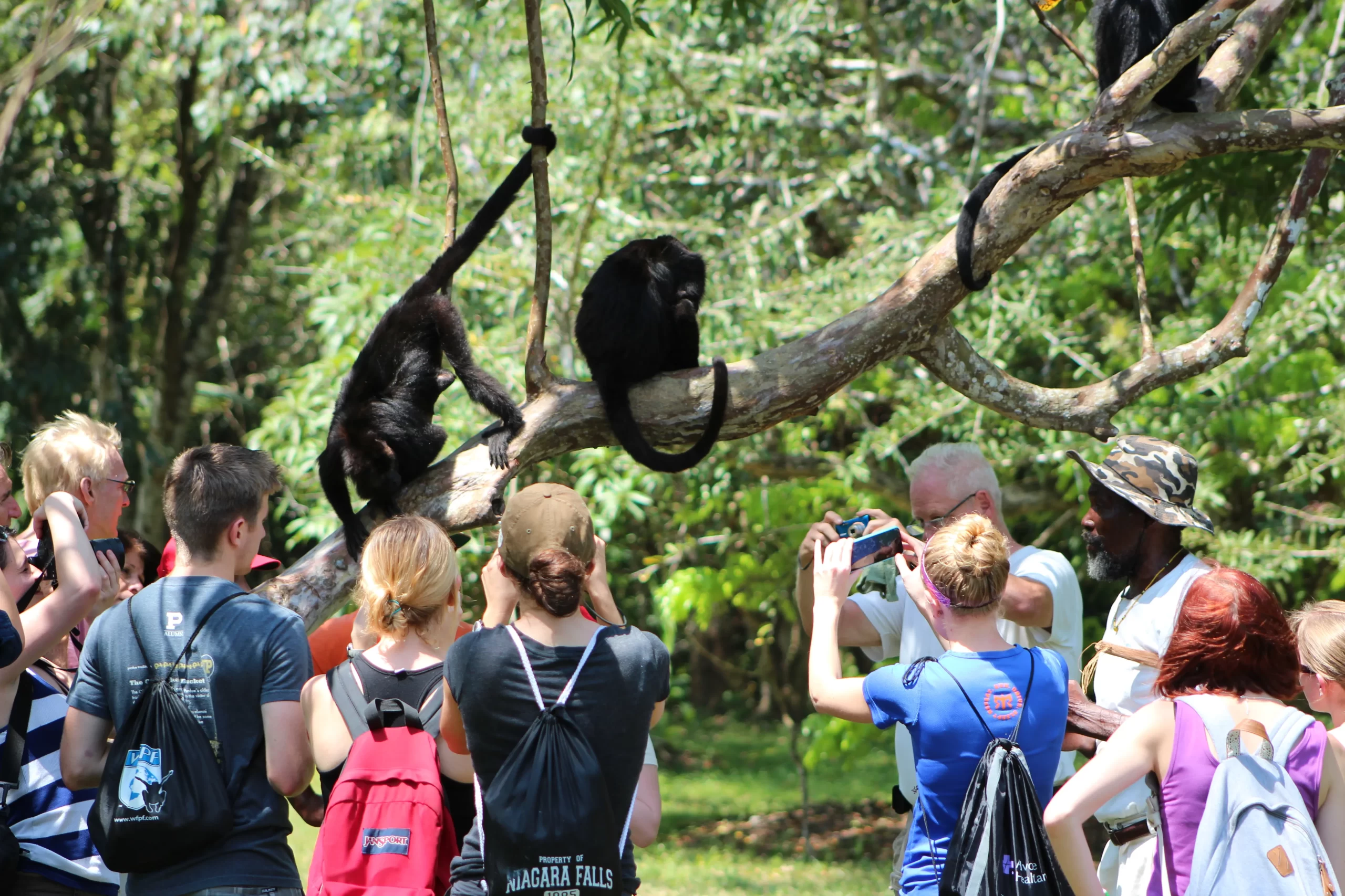 baboon-sanctuary-students-via-animal-wildlife-clinic-scaled