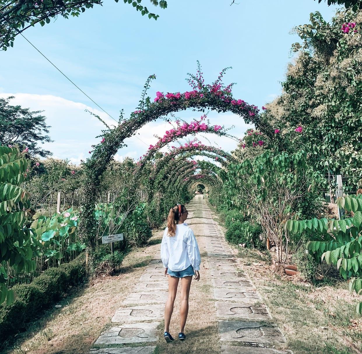 belize-spice-farm-ROEming-Belize-Travel-Agency-botanical-gardens