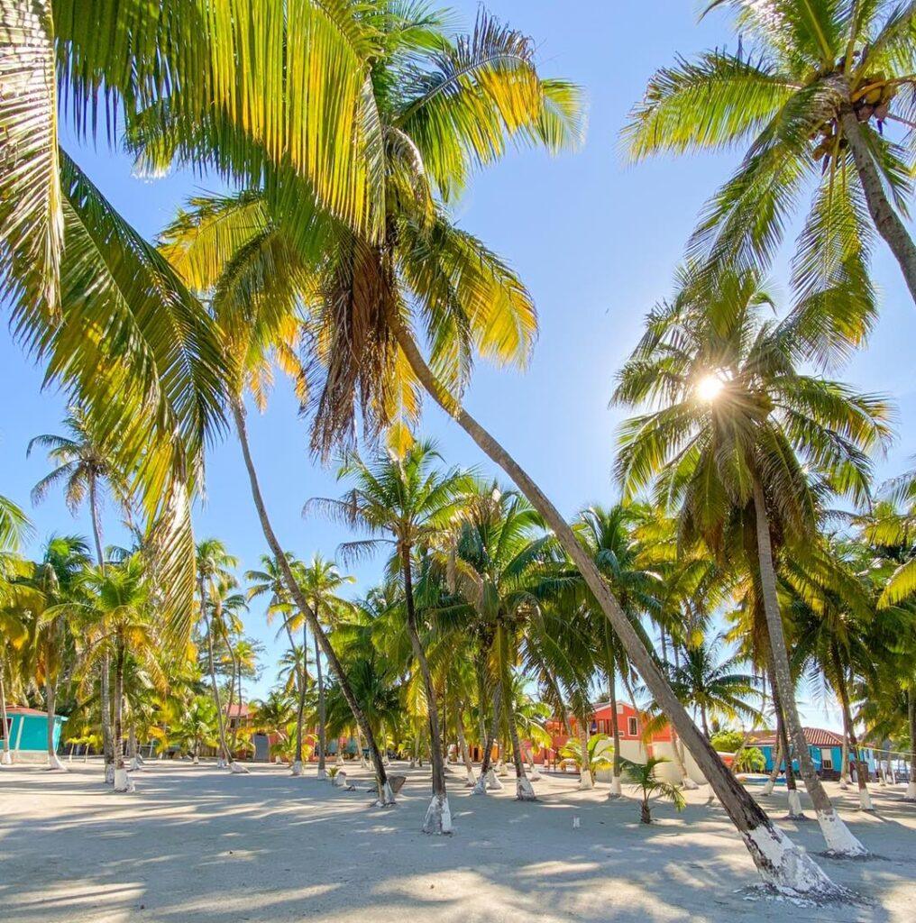 blue-marlin-beach-lodge-belize-resort-grounds