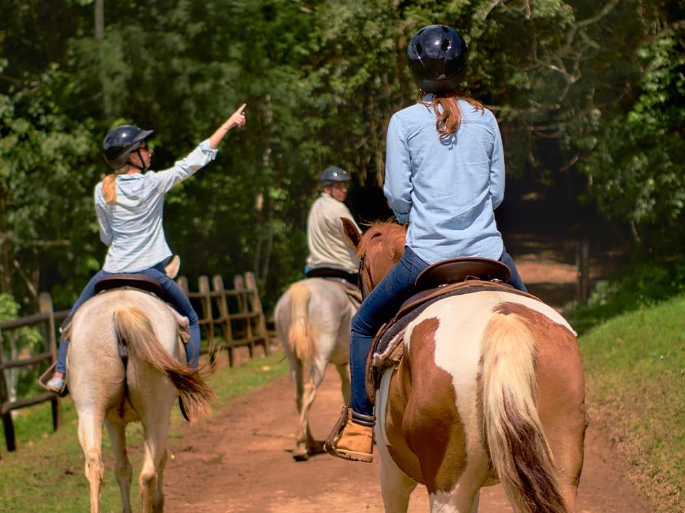 chaa-creek-horseback-riding