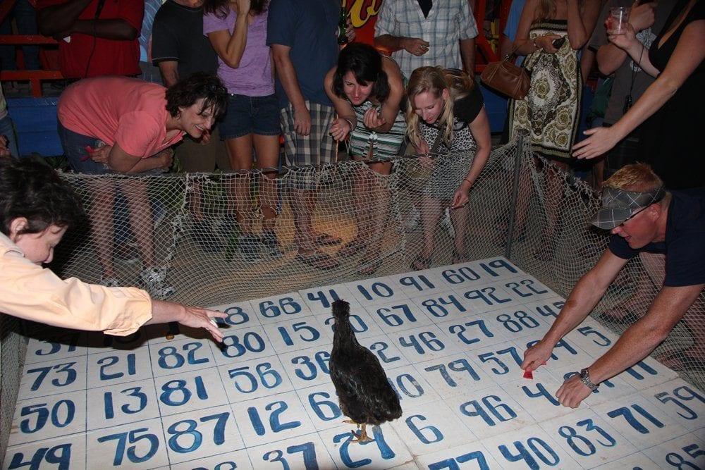 cheering-crowd-chicken-drop-belize