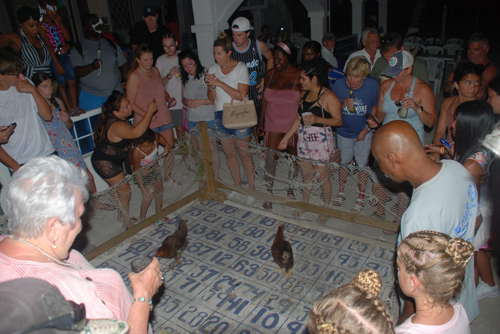 chicken-drop-new-wahoo-lounge-belize-dion-vansen-6