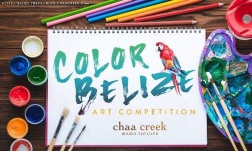 color-belize-art-competition-chaa-creek-cover-art-web-e1587134167354