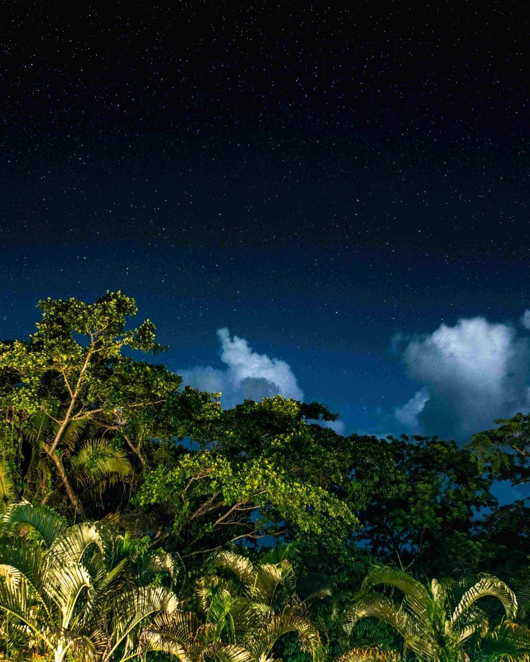 copal-tree-lodge-stars-night