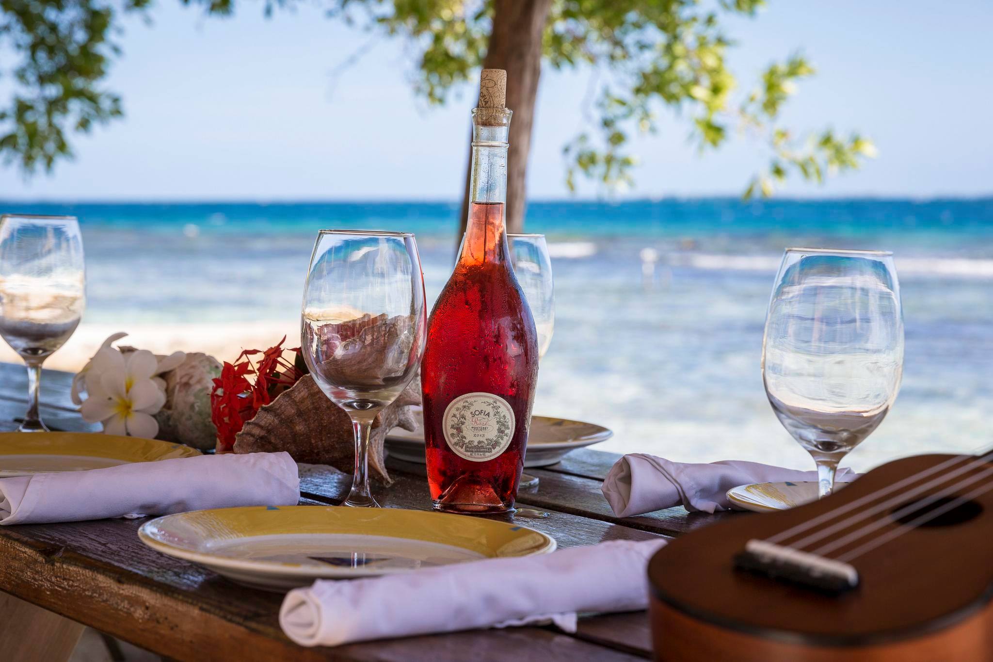 coral-caye-lunch-sofia-wine-coppola