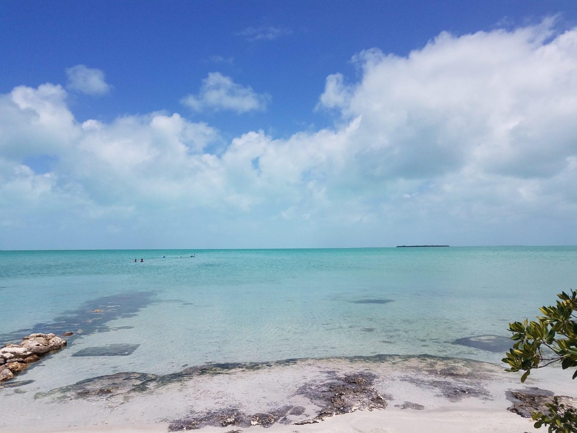 erika-jones-dppKMgA1YuM-unsplash