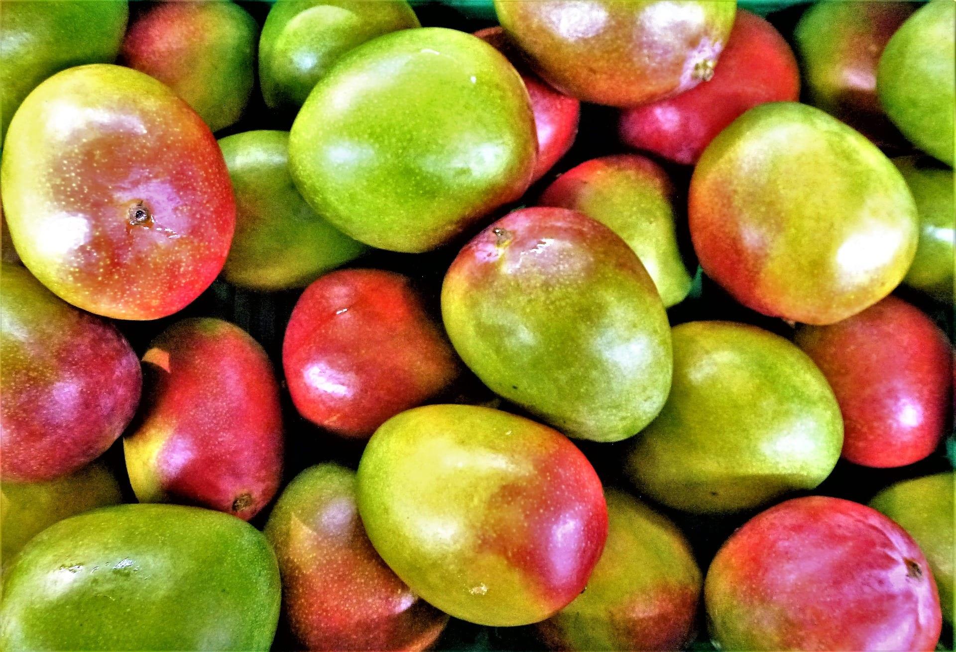 fruit-3298948_1920