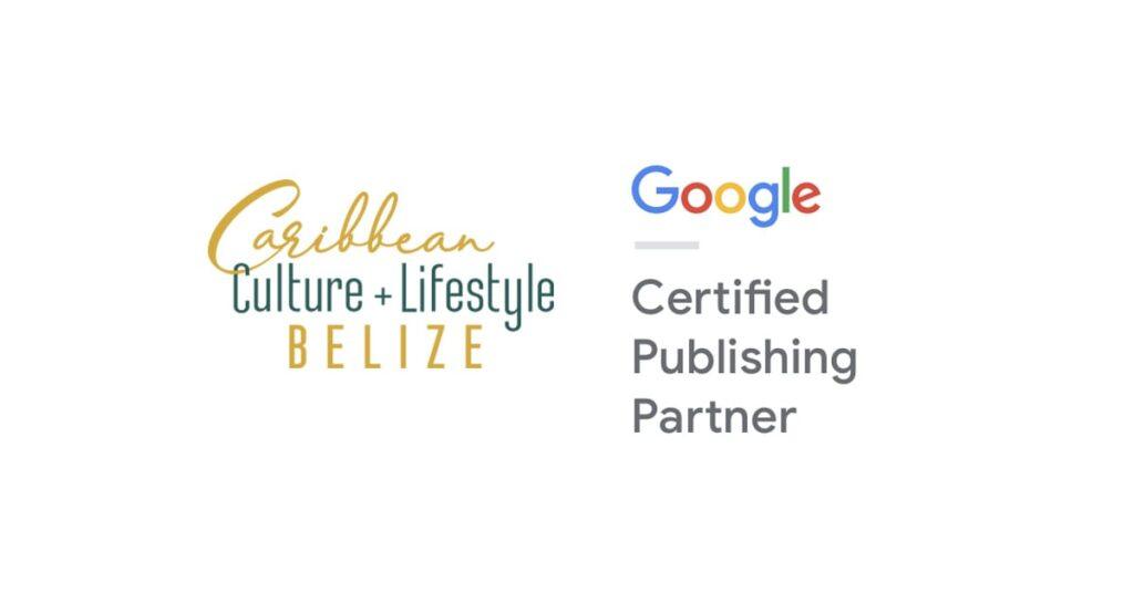 google-news-publishing-partner