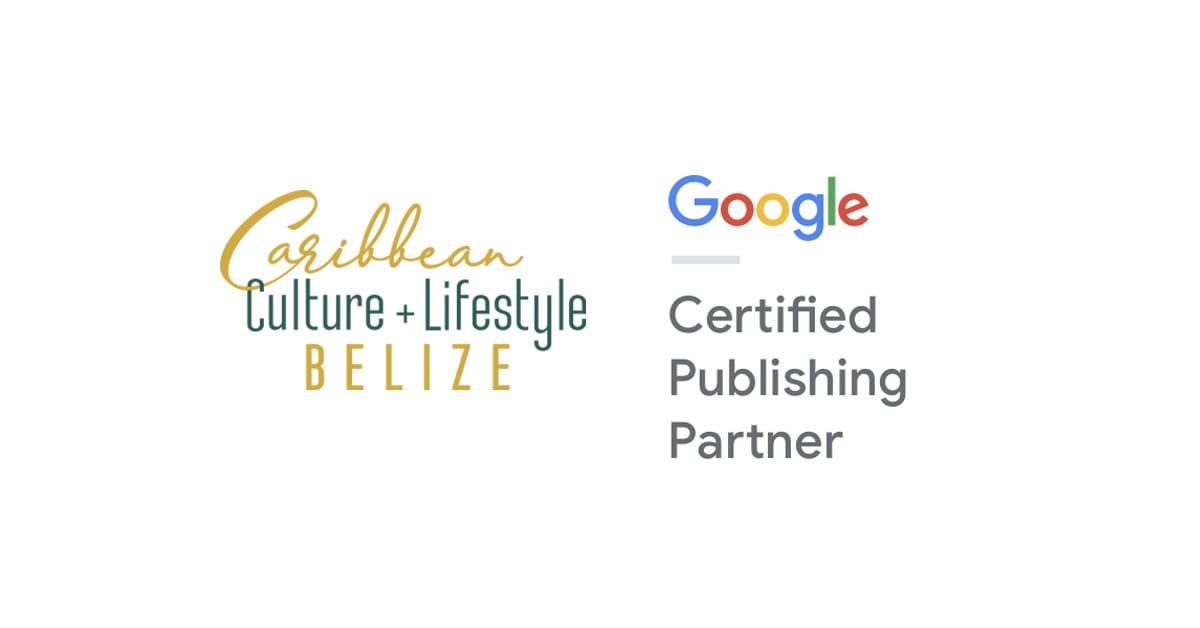 google-news-publishing-partner