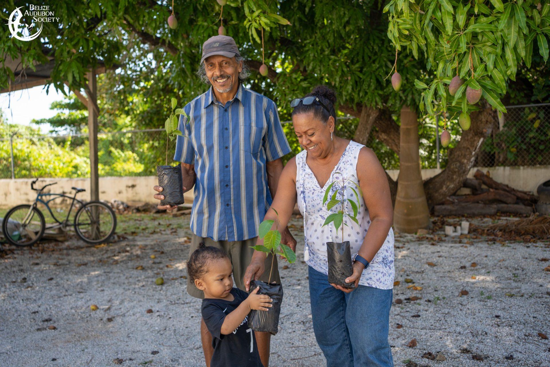 greening-belize-audubon-mahogany-trees-earth-day