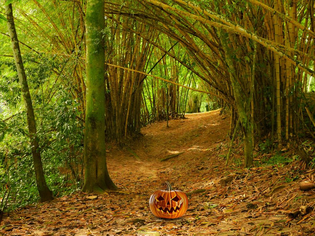 halloweenBLOG