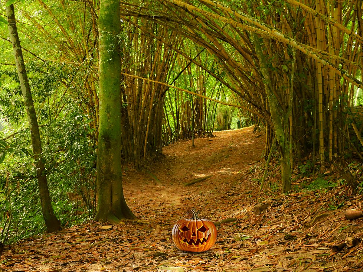 halloweenBLOG