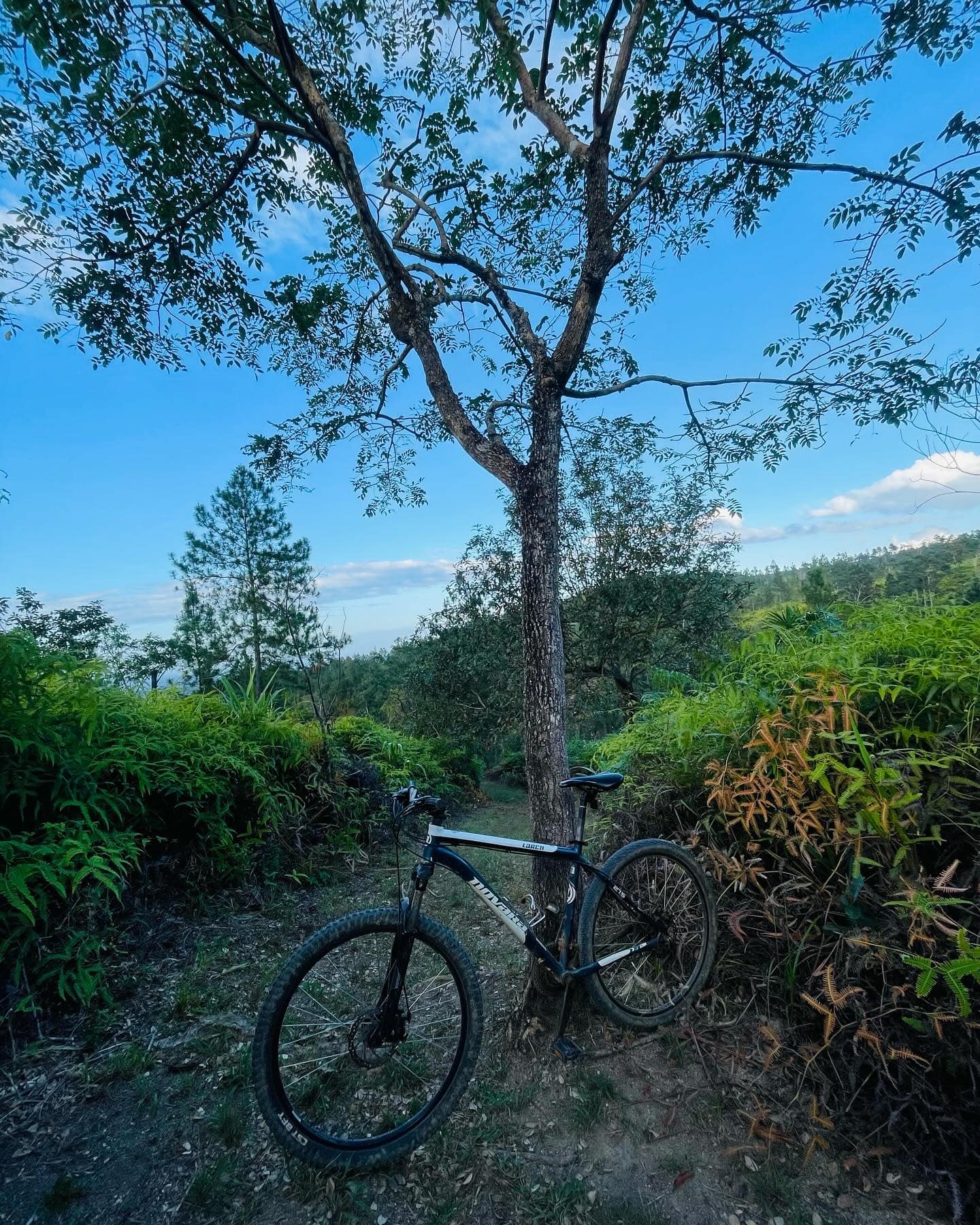 hidden-valley-bike
