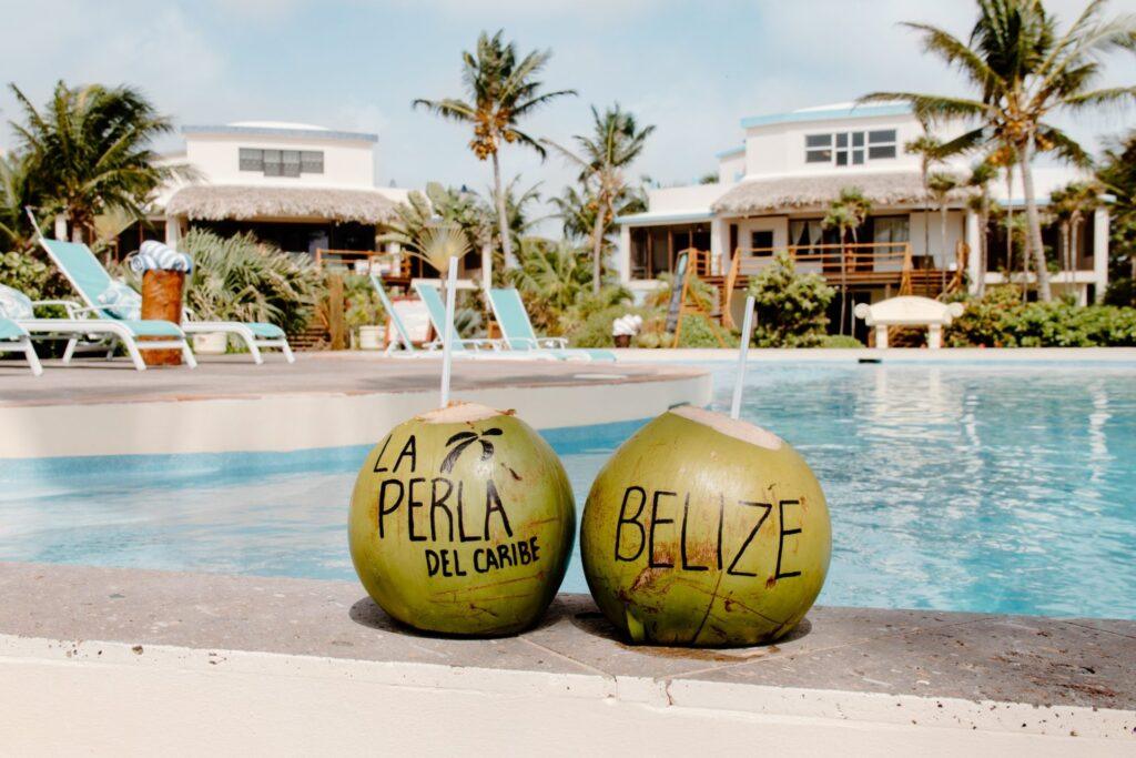 la-perla-del-caribe-belize-coconuts