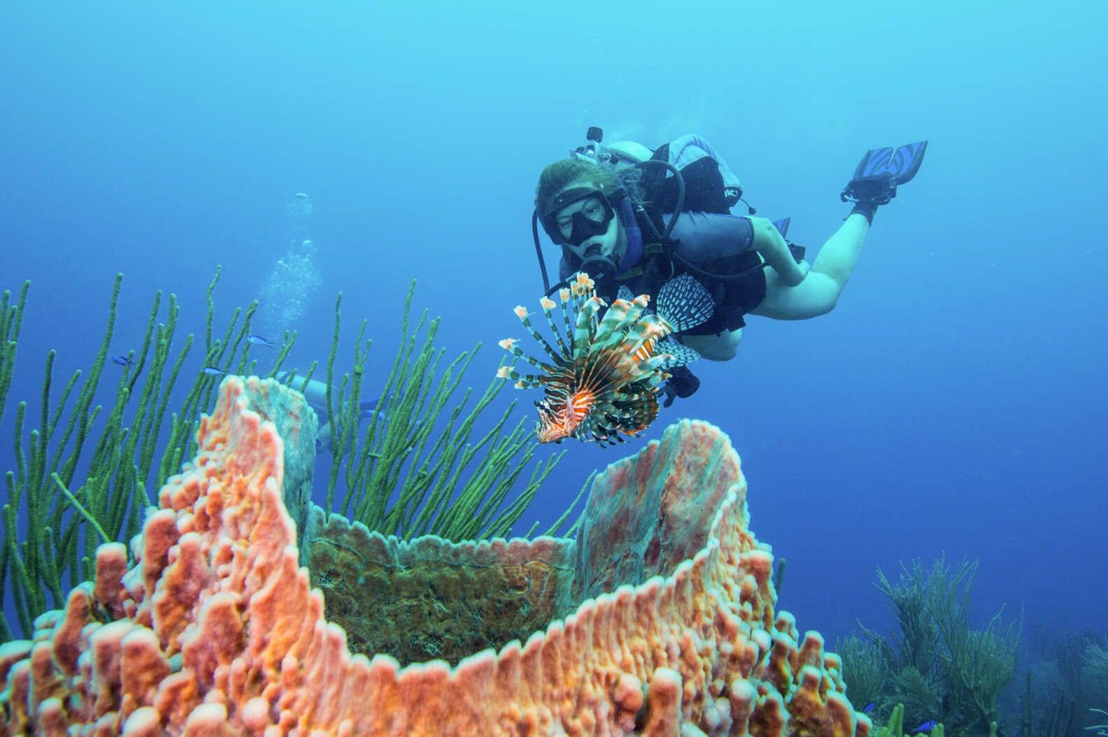 lionfish-hunting-scuba-dive-barrier-reef-belize-DOUGLAS-KLUGGETTY-IMAGES