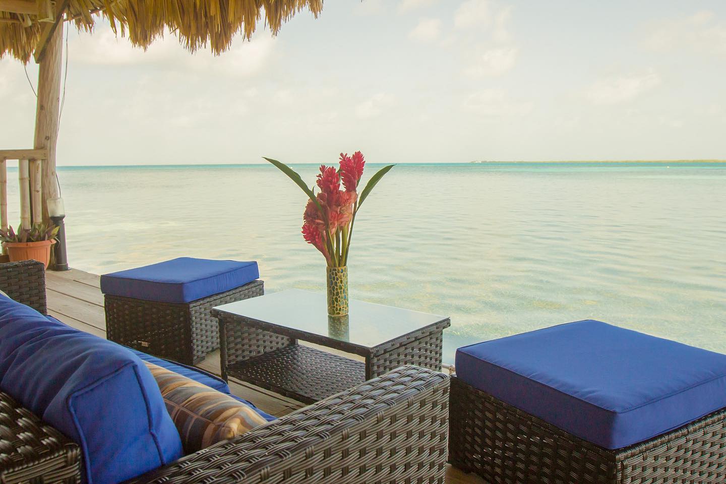lounge-blue-marlin-beach-resort-belize-chair