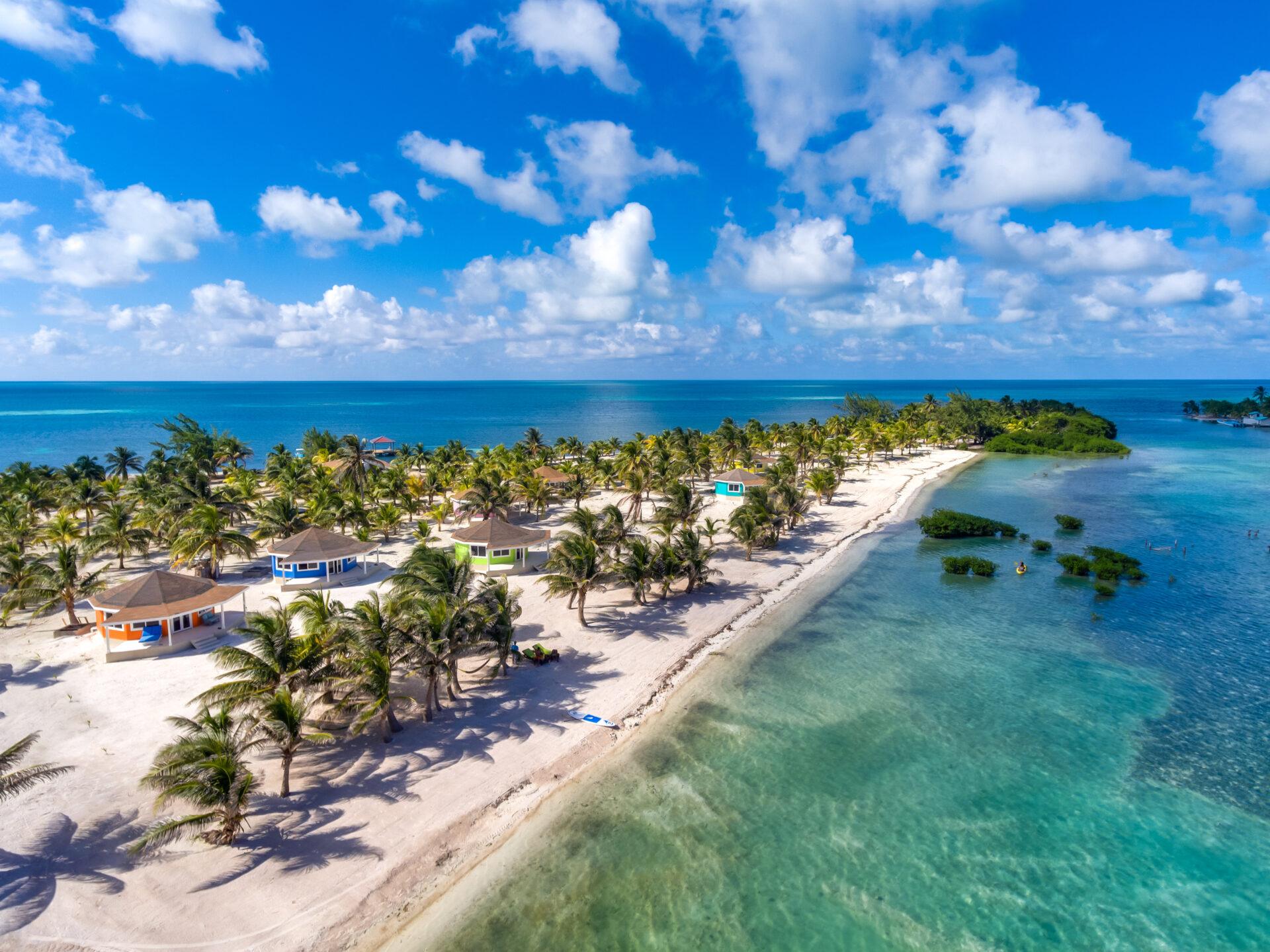 manta-belize-1137