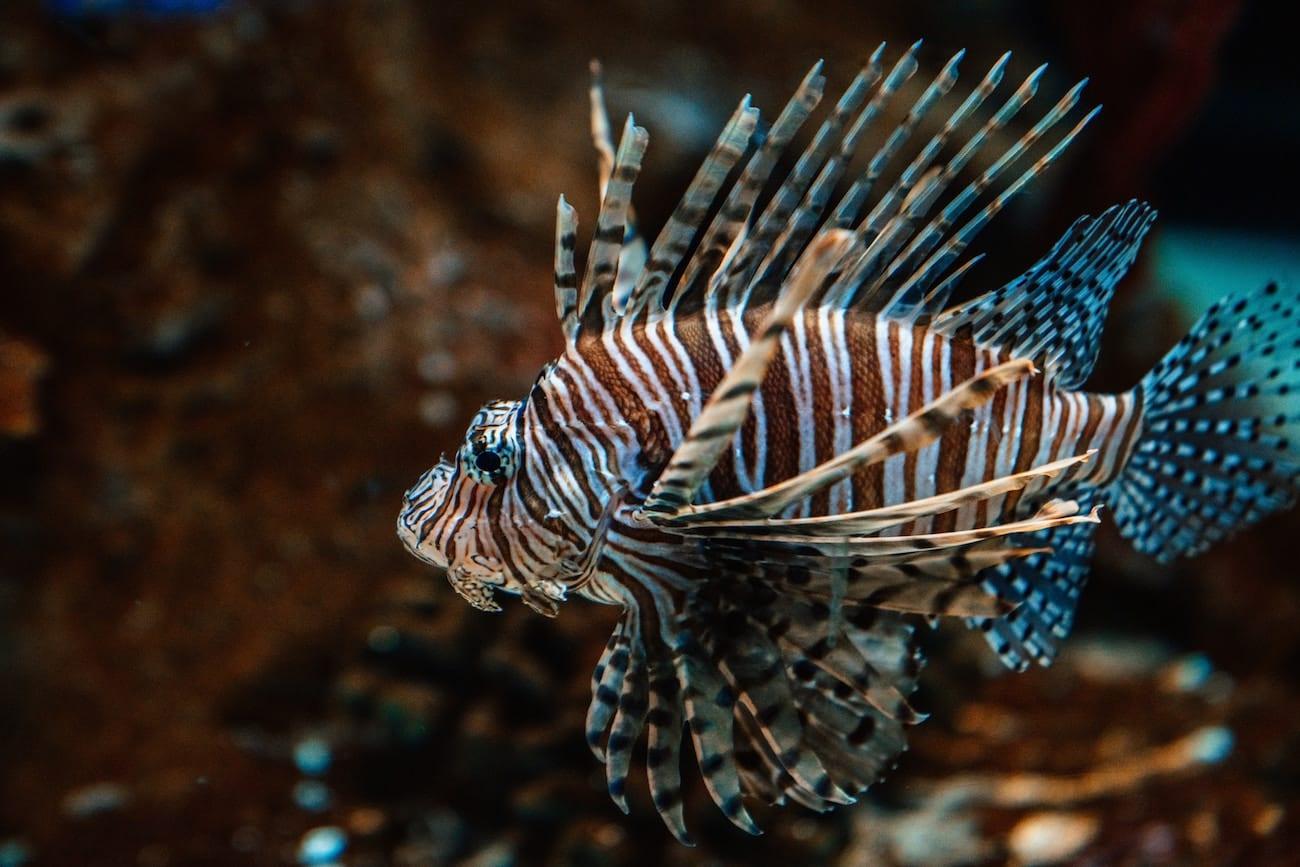meritt-thomas-9fp6cpNXg2M-unsplash
