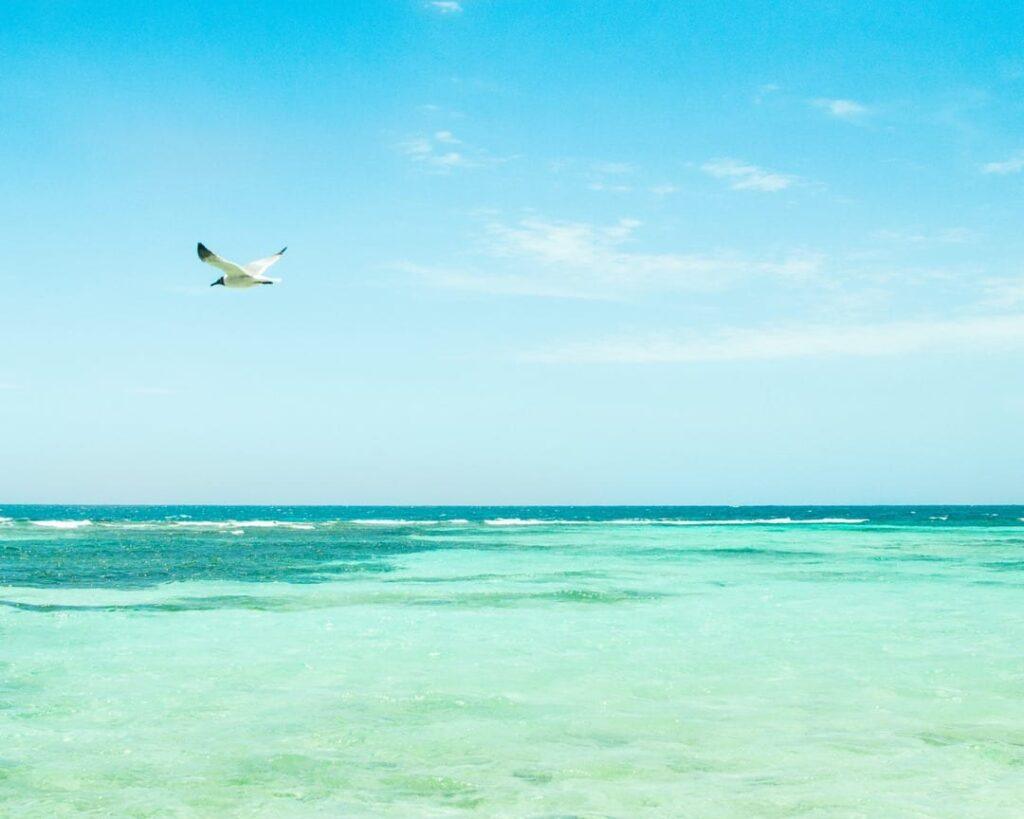 ranguana-caye-muyono-sea