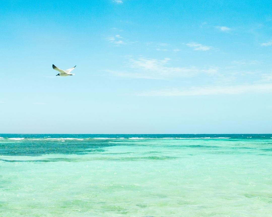ranguana-caye-muyono-sea