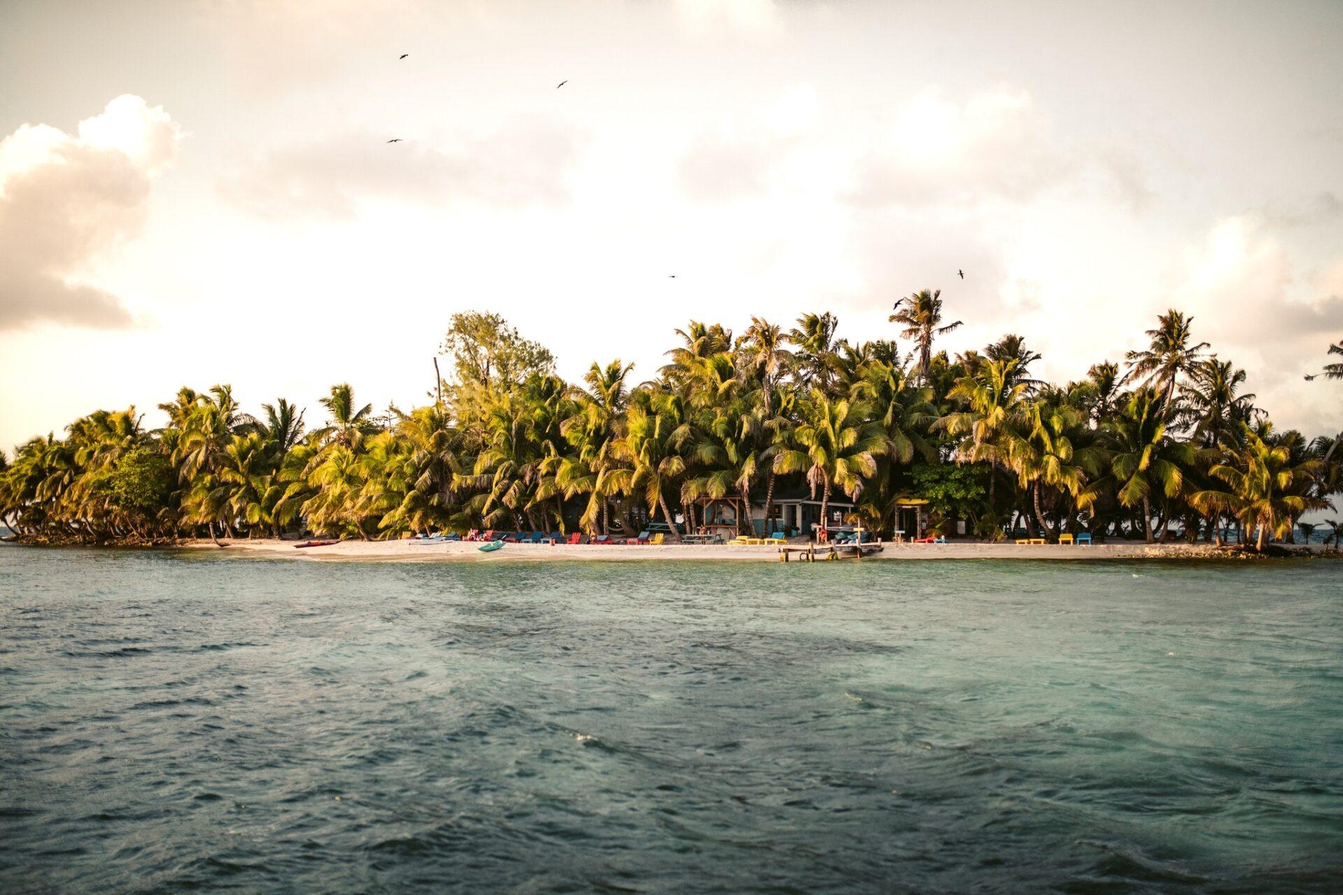 ranguana