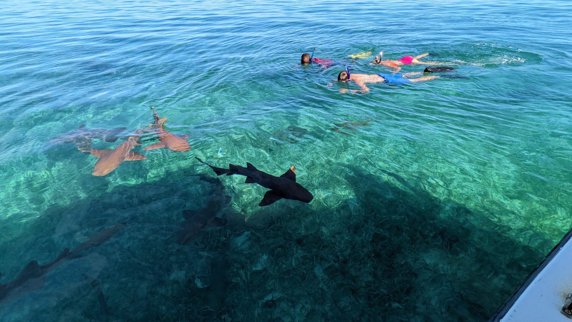 ray-caye-snorkel-southern-belize