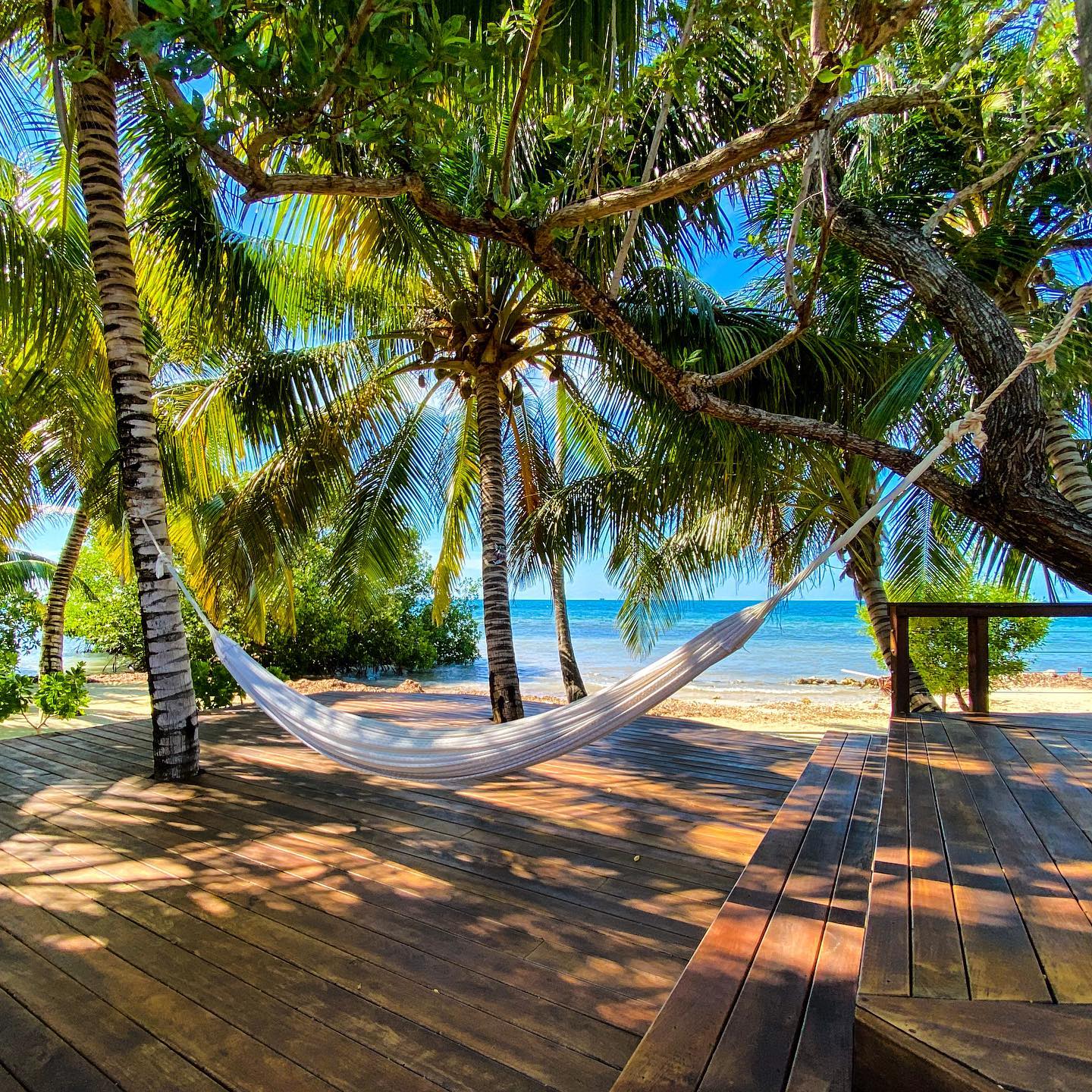 ray-caye2