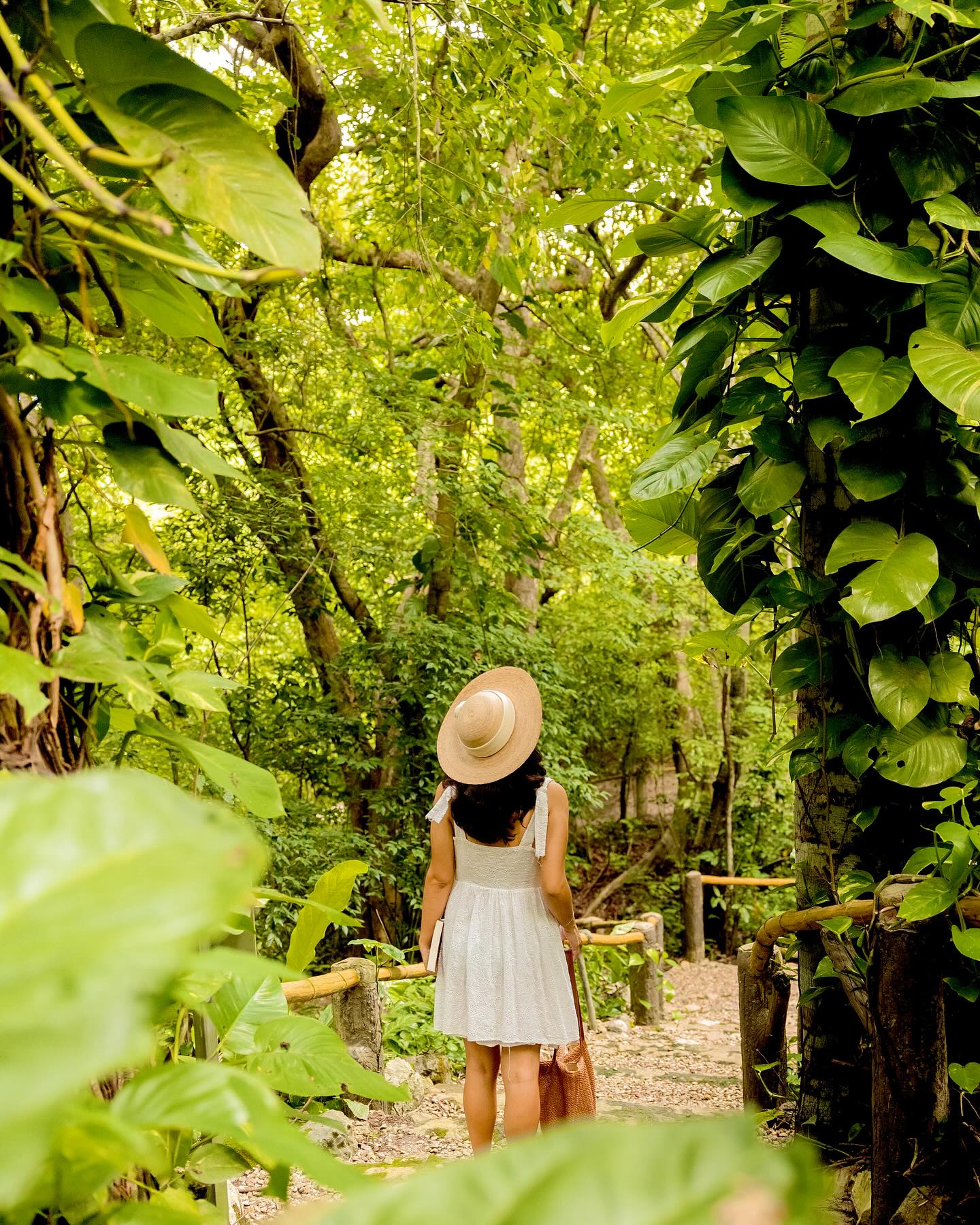 san-ignacio-resort-nature