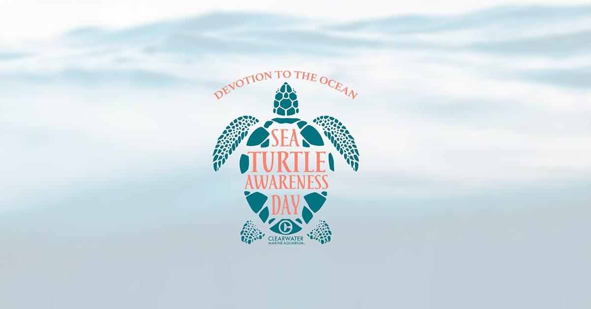 sea-turtle-awareness-day