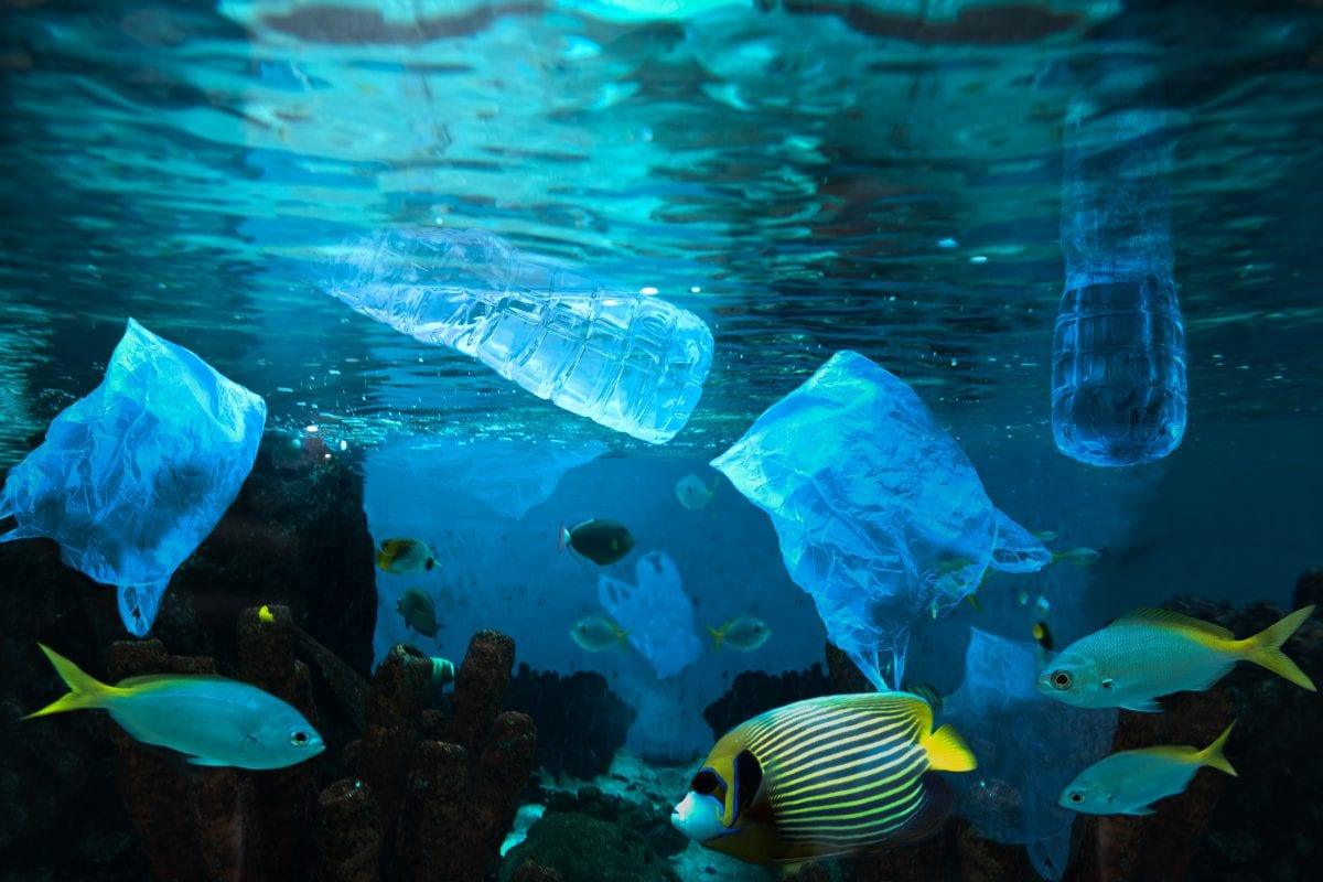 shutterstock_ocean-film
