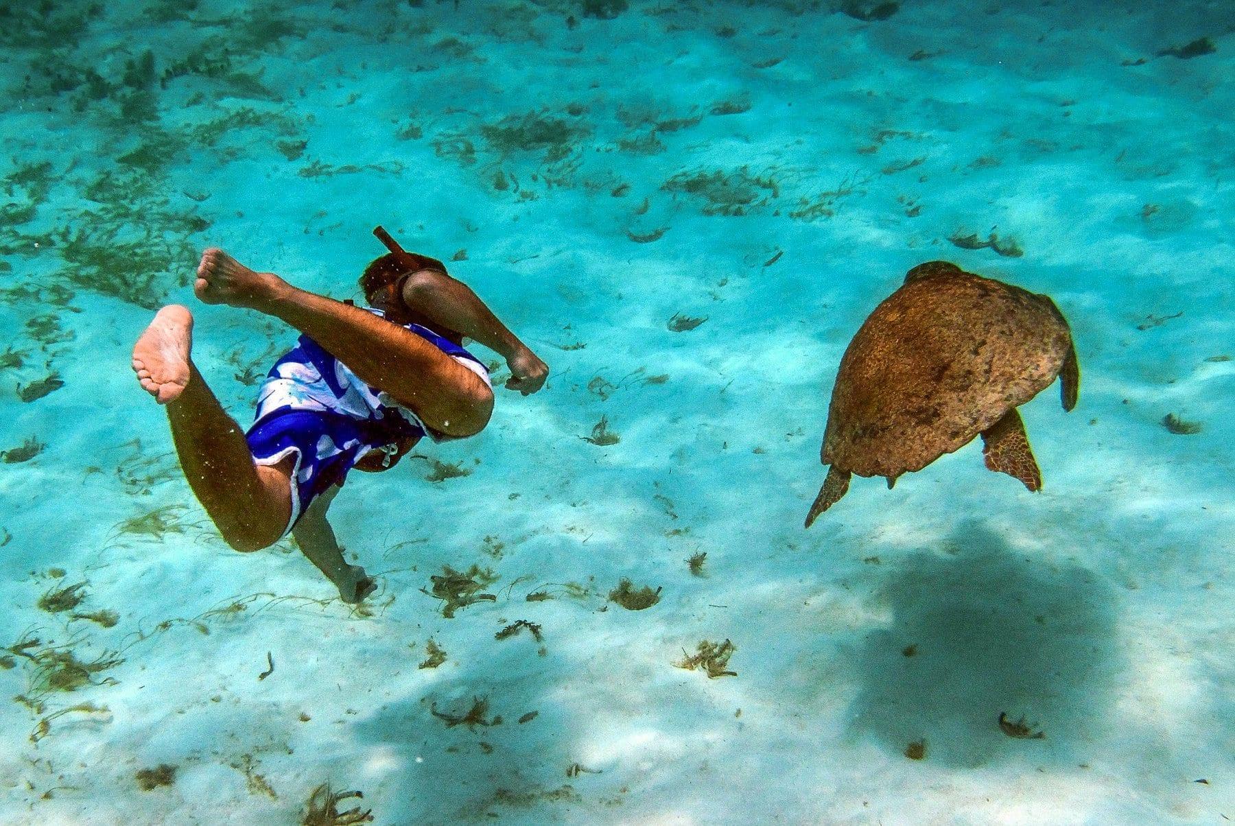snorkeling
