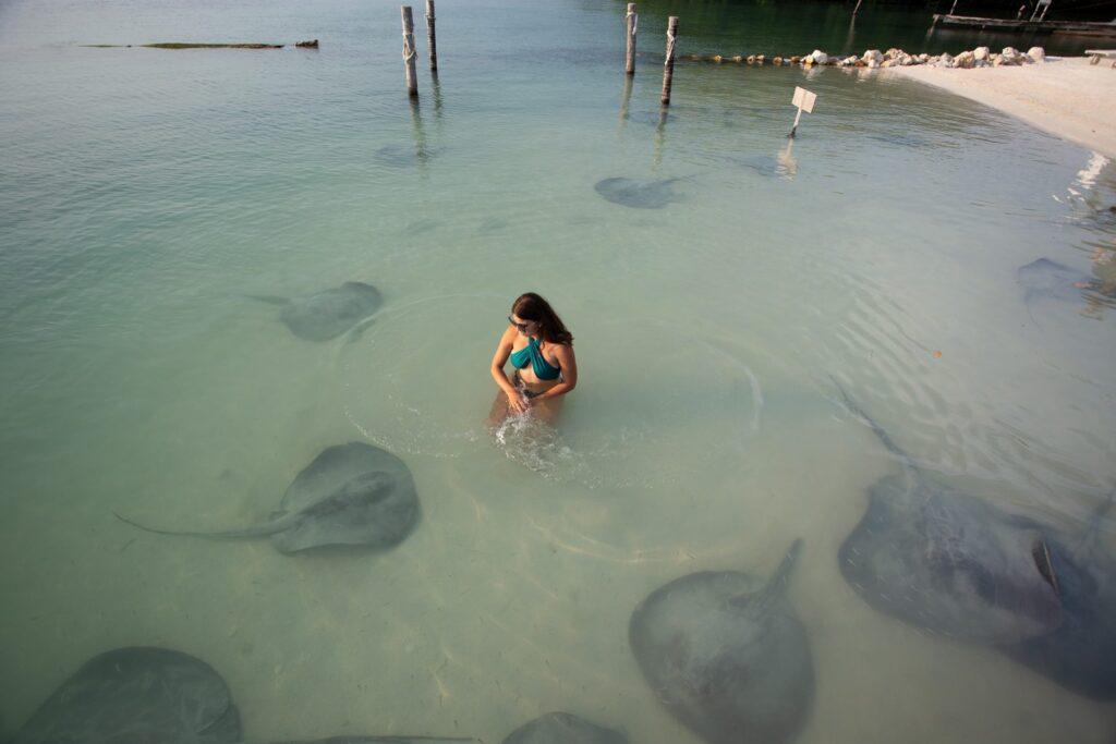 stingrays-belize-caye-caulker-duarte-dellarole